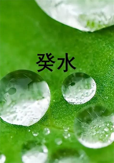 癸水 壬水|一文讲透 壬水和癸水